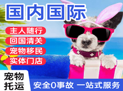 无锡硕放机场空运国际宠物托运 【国